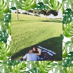 Meet your Posher, Lino